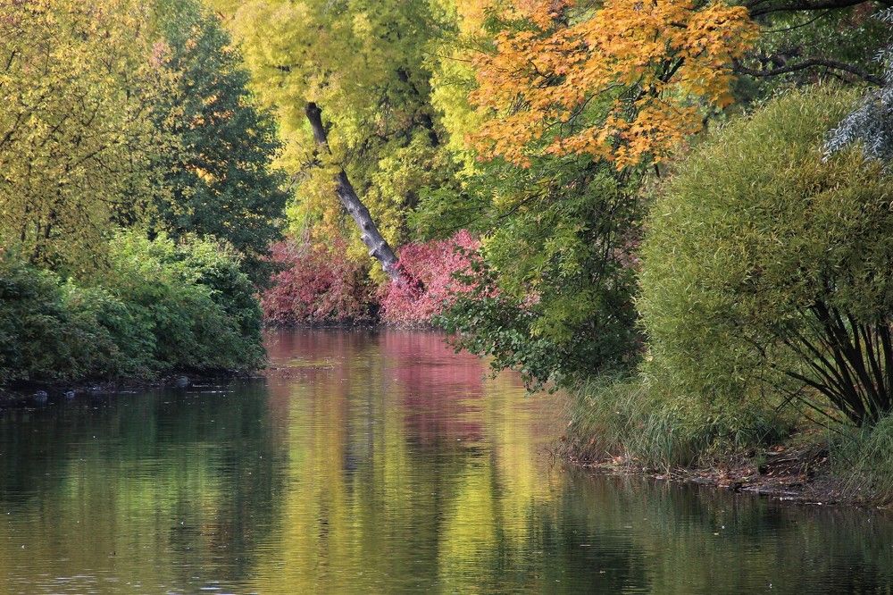 Photograph by Валентина