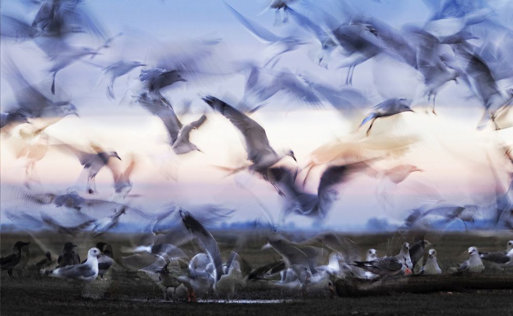 Photograph by Zizi Körmendy