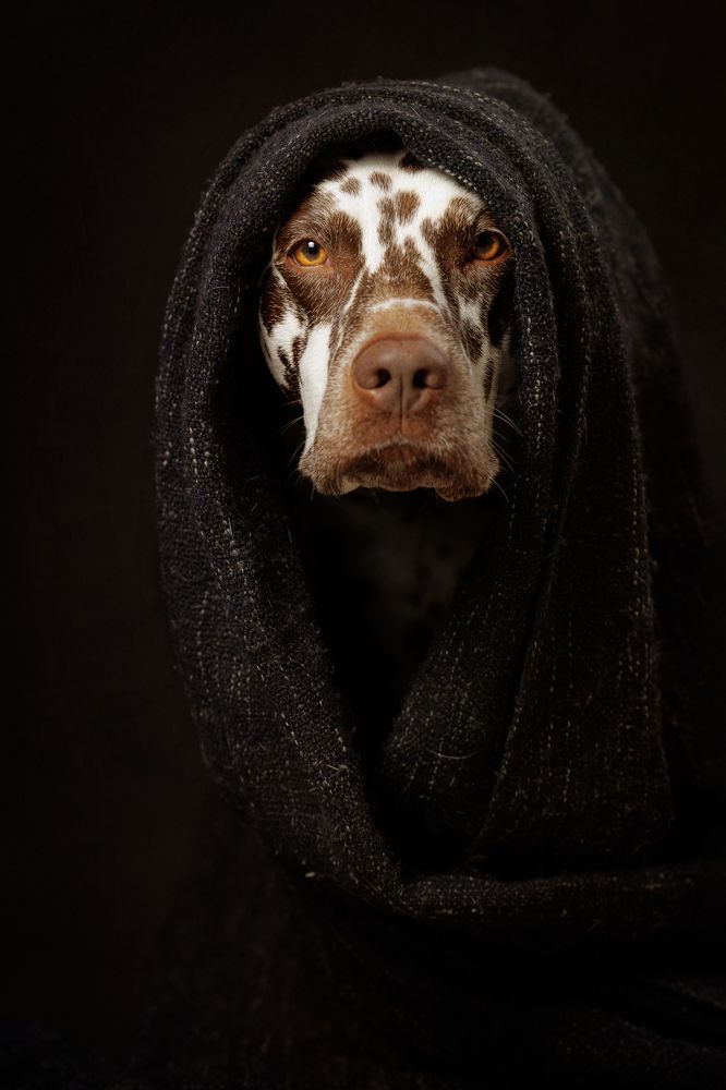 Photograph by Яна Нарбутович