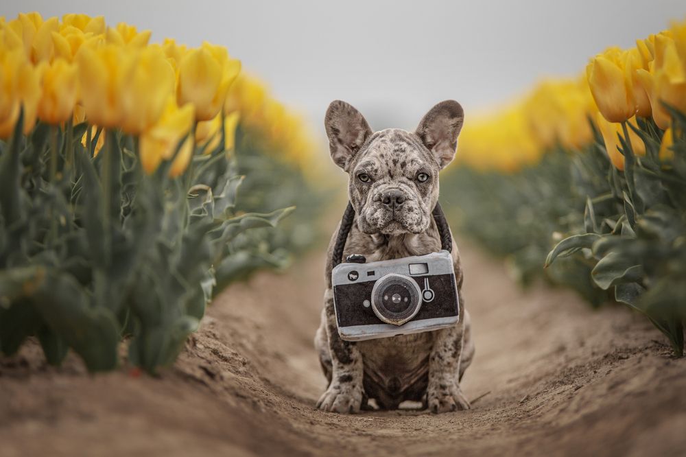 Photograph by Gertrude Goené