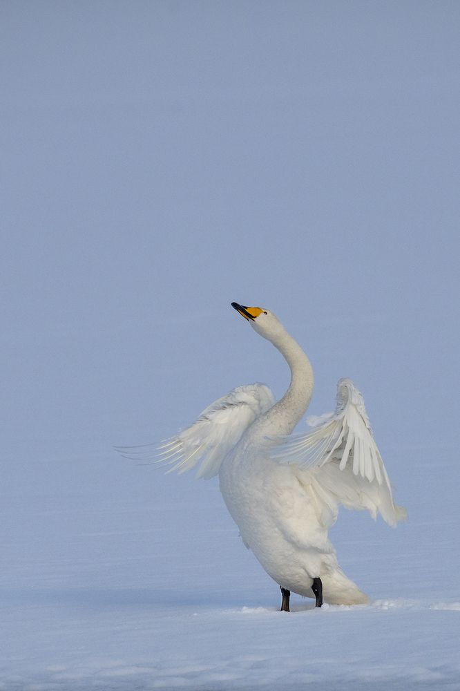 Photograph by Евгений Санин