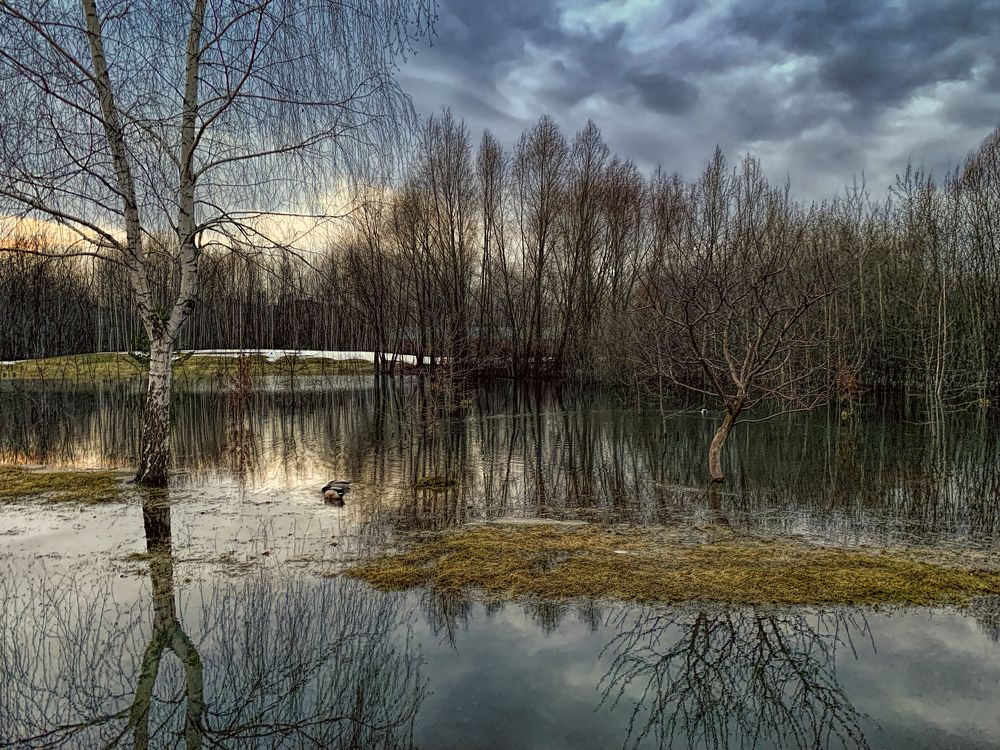 Photograph by Irina Grigoryeva