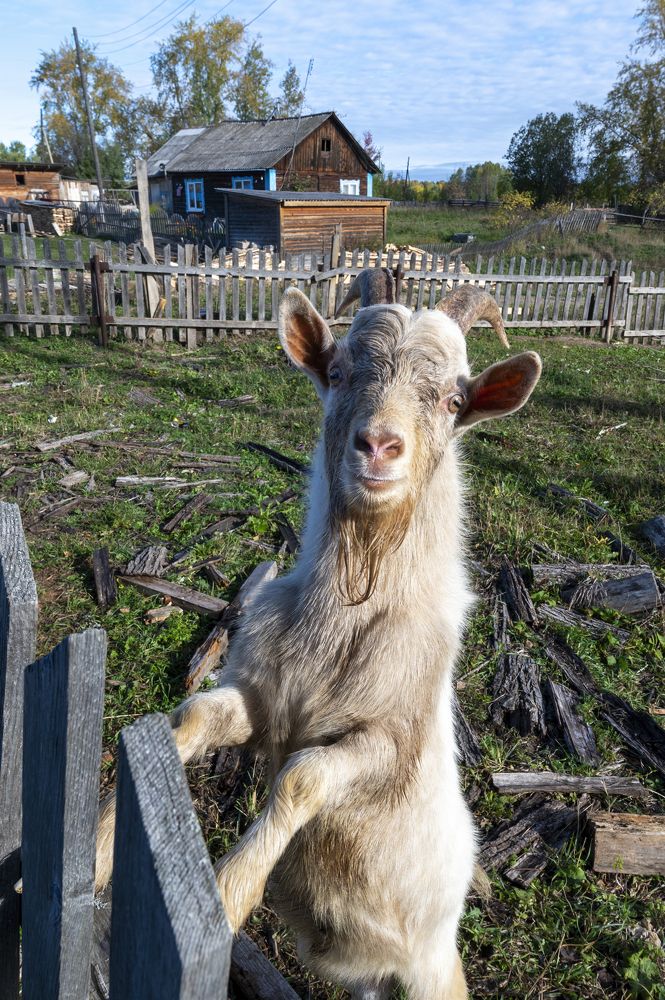 Photograph by Irina Grigoryeva