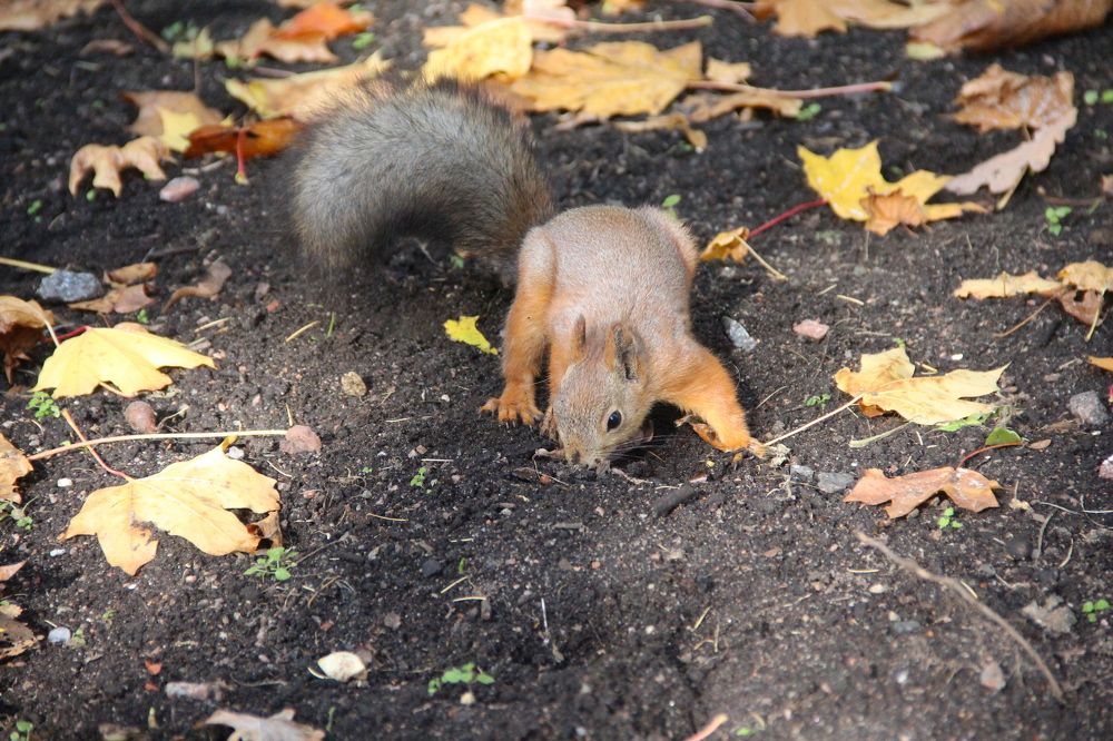 Photograph by Валентина