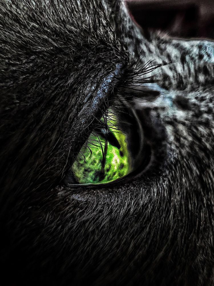 Photograph by Елена Громова