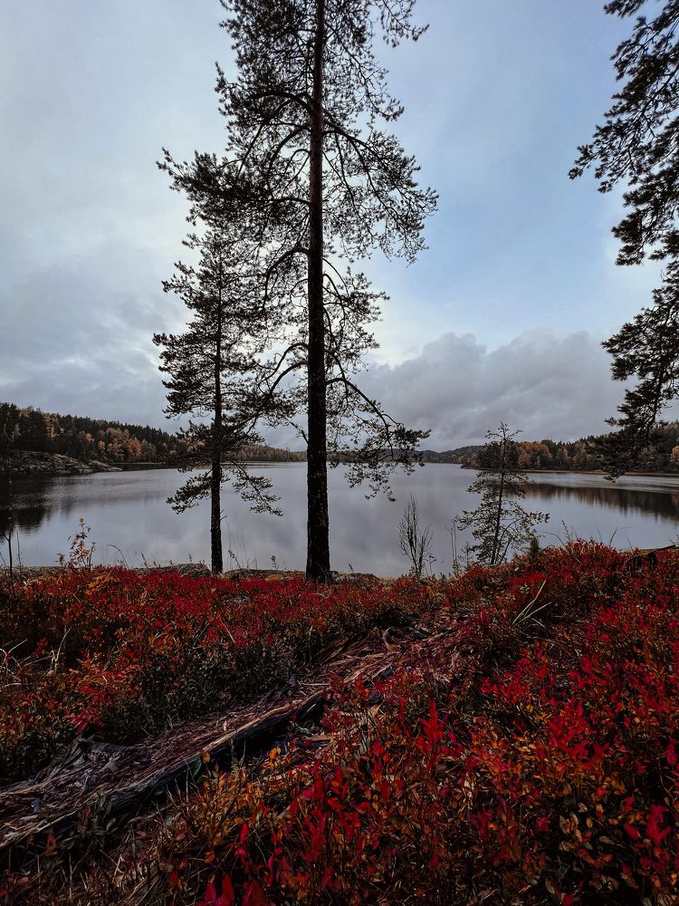 Природы яркий сарафан