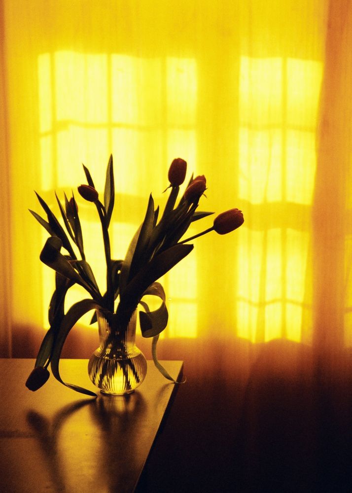 Photograph by Наталья Жук