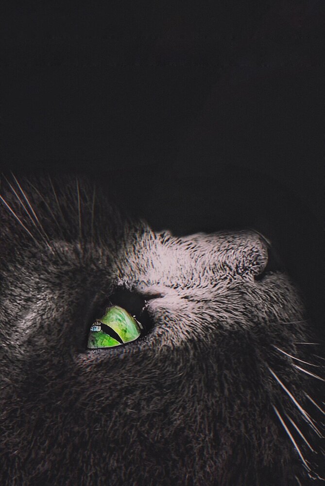Photograph by Елена Громова