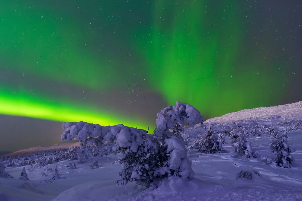 Фотография автора Мика Петров