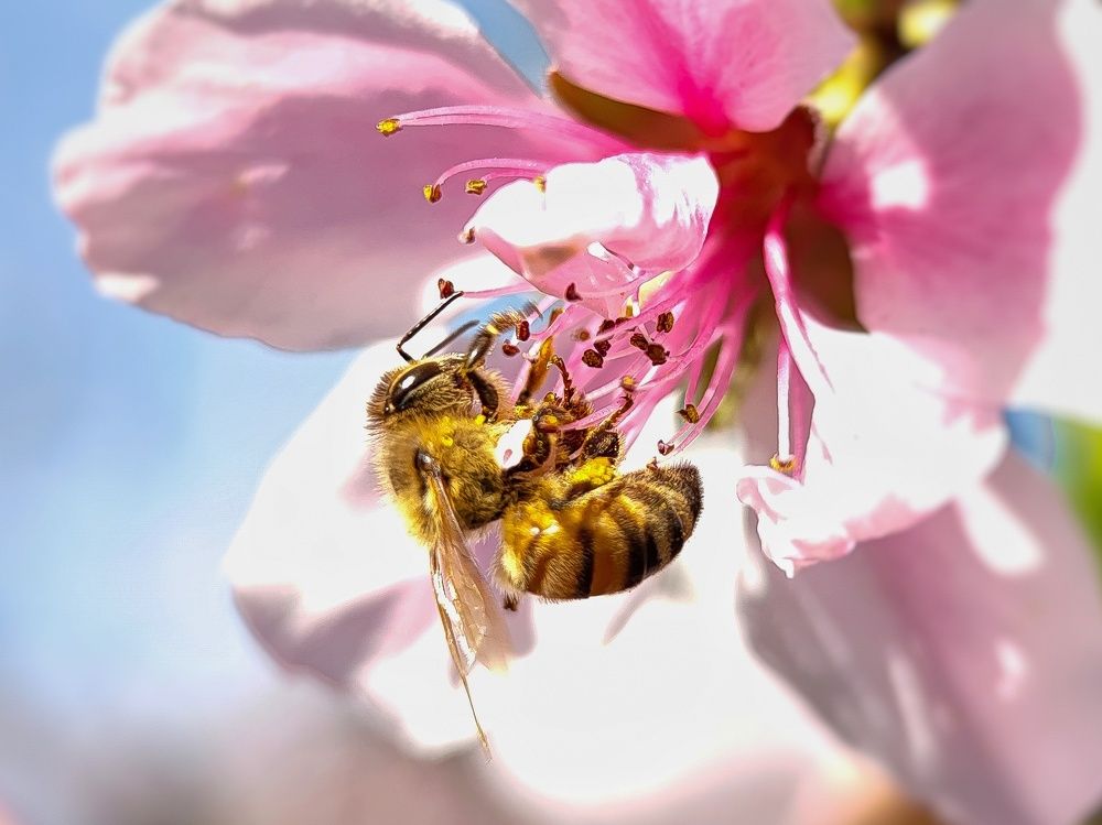 Photograph by Reza Keyvan