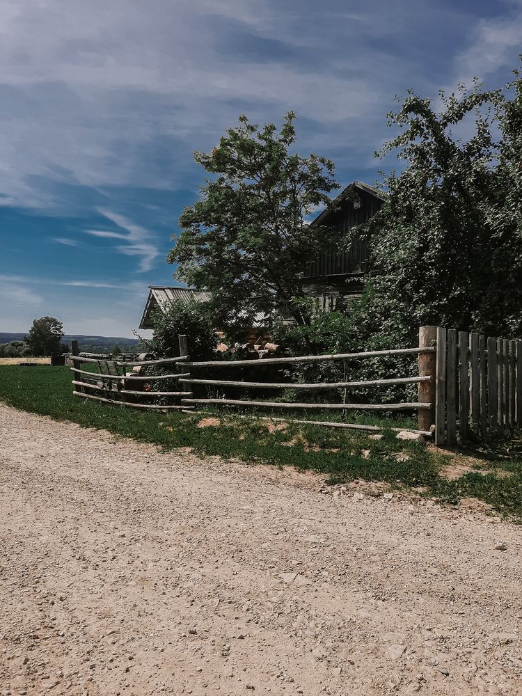 Photograph by Ольга