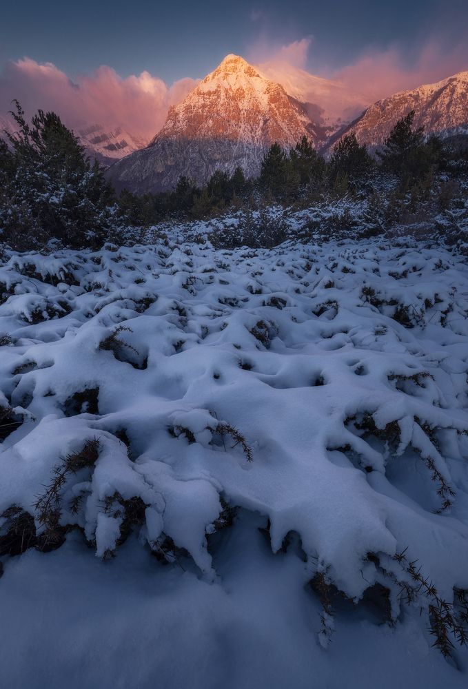 Photograph by Mario Marini