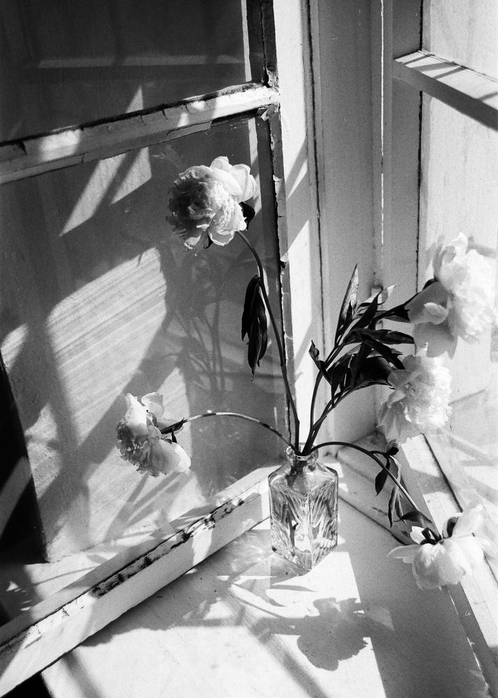 Photograph by Наталья Жук