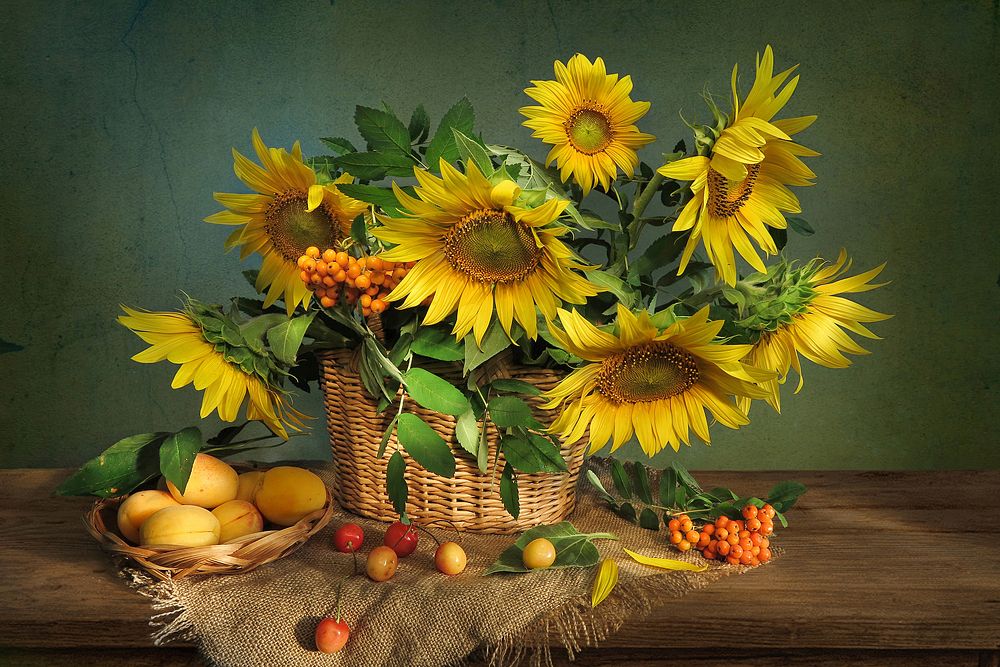 Photograph by Алла Шевченко