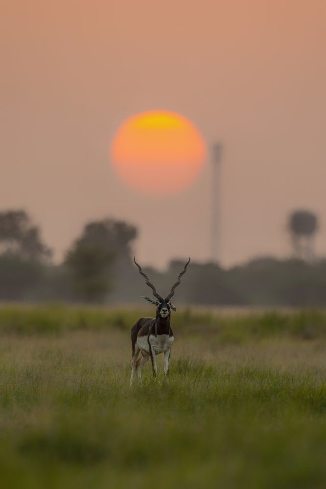 Photograph by Ajay A.D