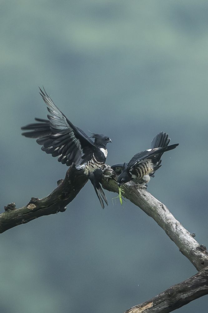 Photograph by Ajay A.D