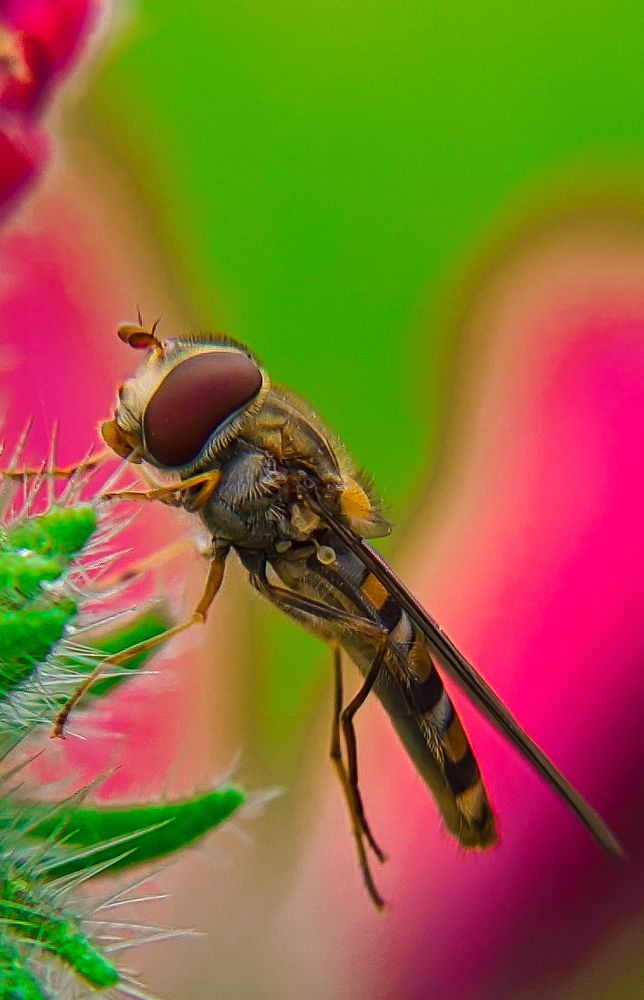 Photograph by Anass Aouissi