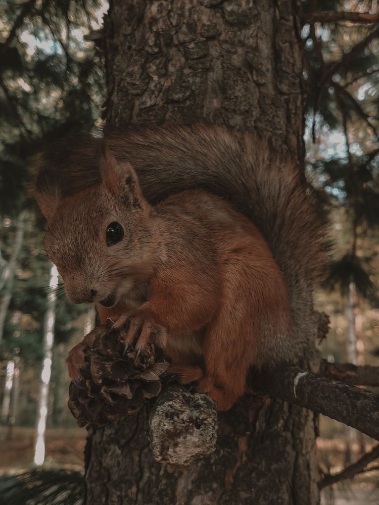 Photograph by Oxana Kostsova