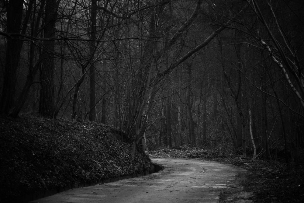 Photograph by Владимир Леликов-Кузьменко