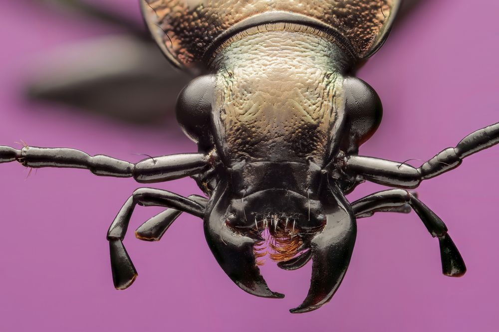 Photograph by Антон Сидоров