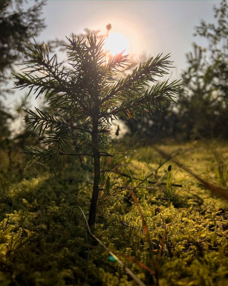 Photograph by Mary Ryzhenkova