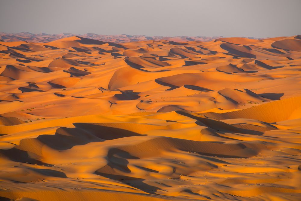Sand dunes in Liwa Oasis