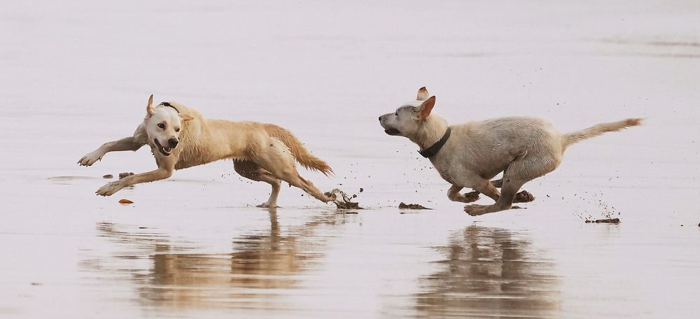 Photograph by Raed Victor Saad