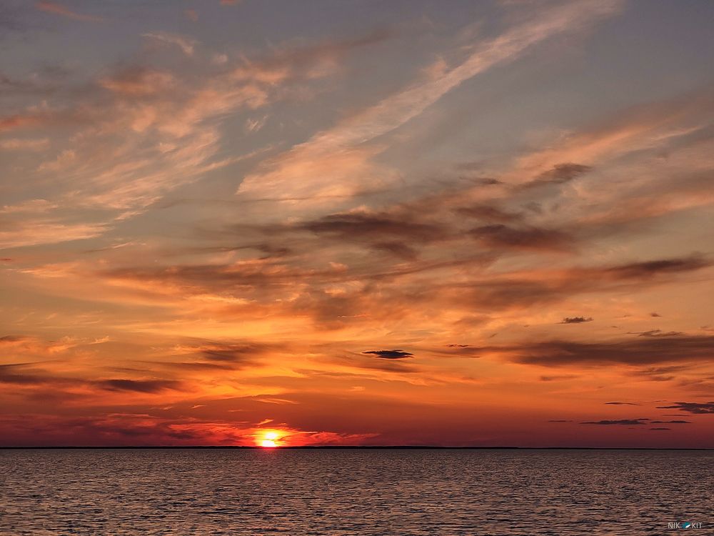 Фотография автора Никита Гребнев