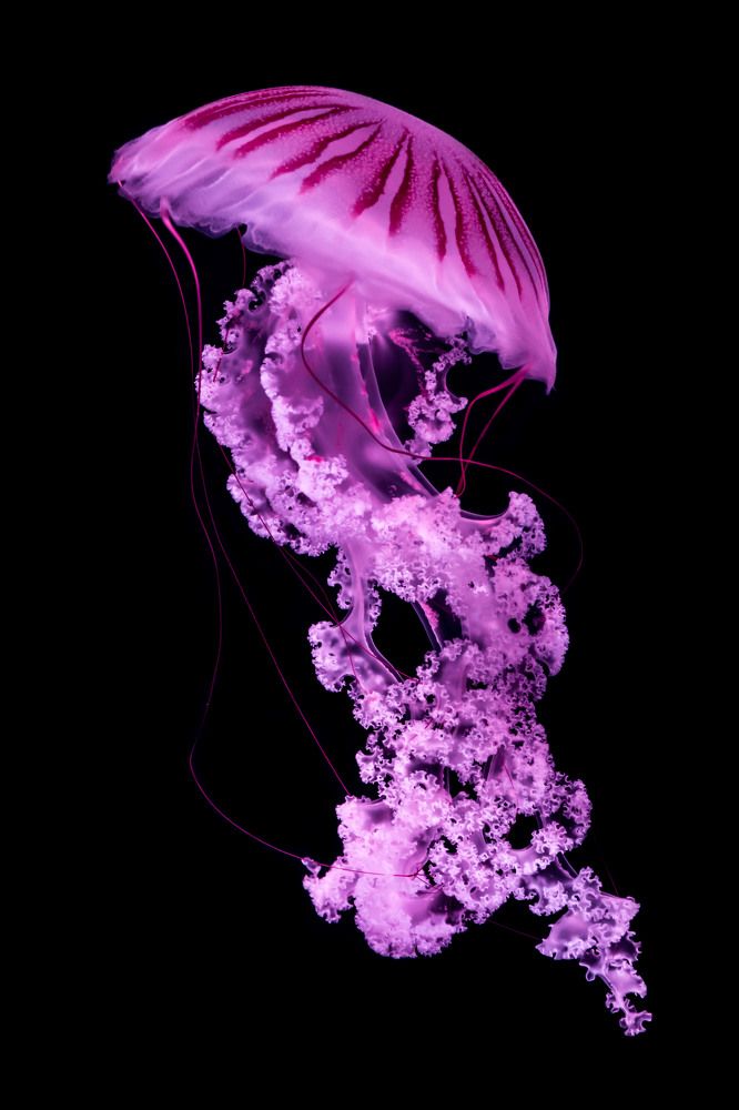 Photograph by Людмила Иващенко