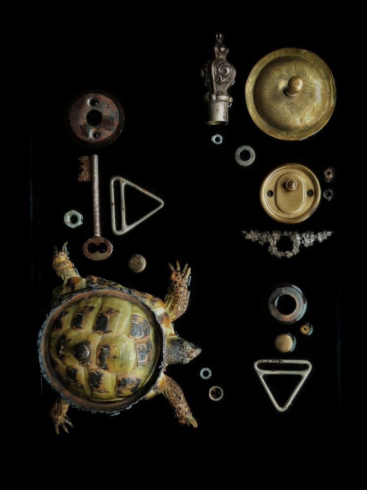 Photograph by Natalia Sopoćko