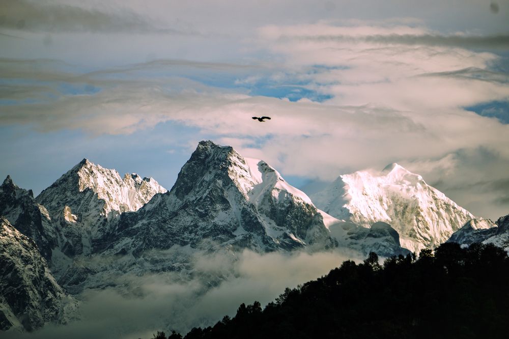 Photograph by Sounak Chatterjee