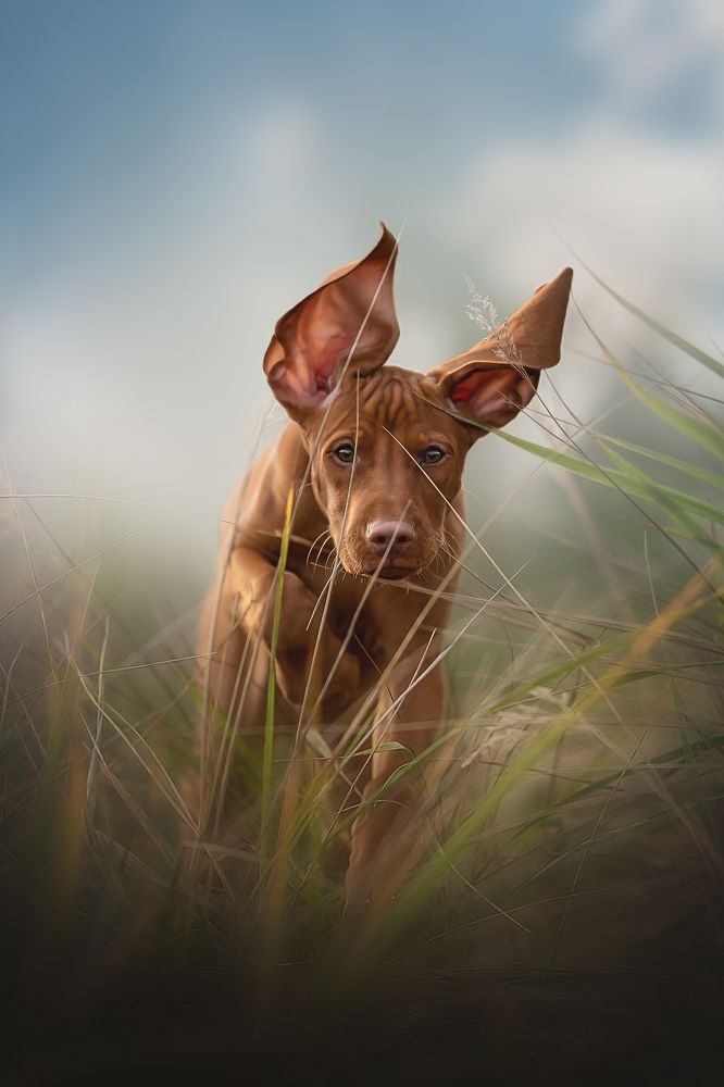 Photograph by Людмила Богуш