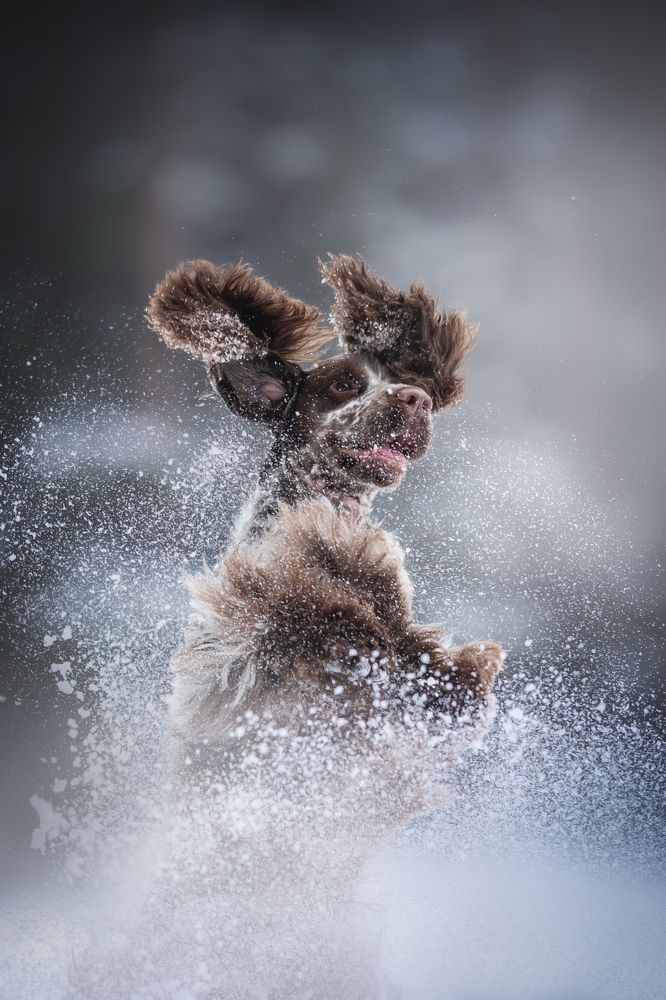 Photograph by Людмила Богуш