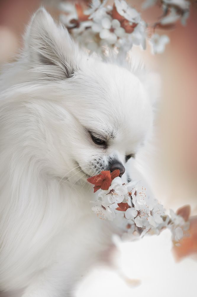 Photograph by Людмила Богуш