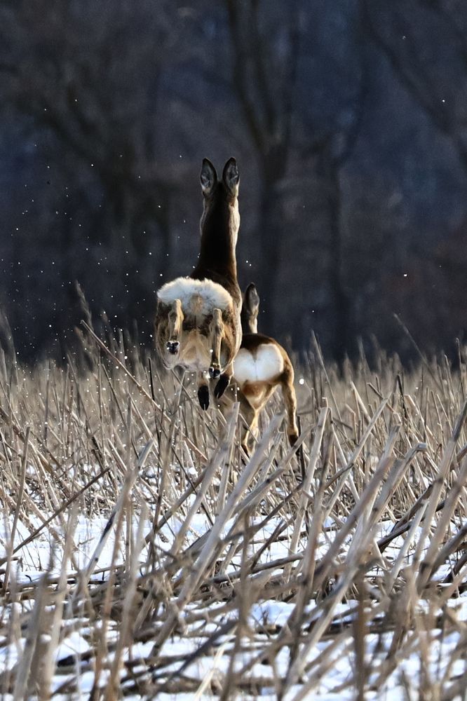 Photograph by Сергей Конюшенко