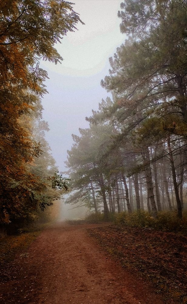 Photograph by Карина Дудатьева