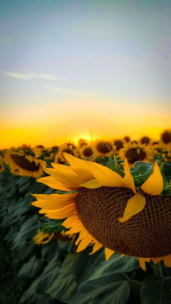 Photograph by Карина Дудатьева