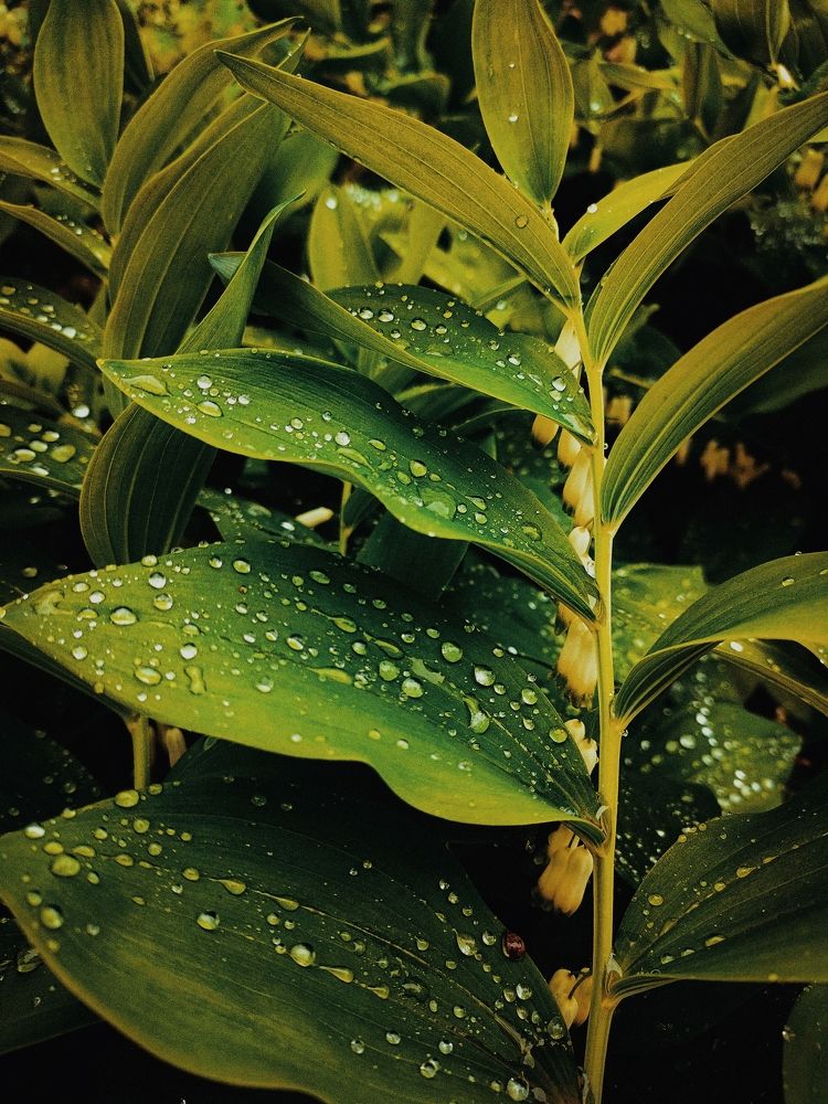 Photograph by Карина Дудатьева