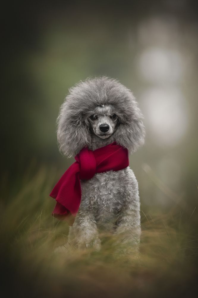 Photograph by Людмила Богуш