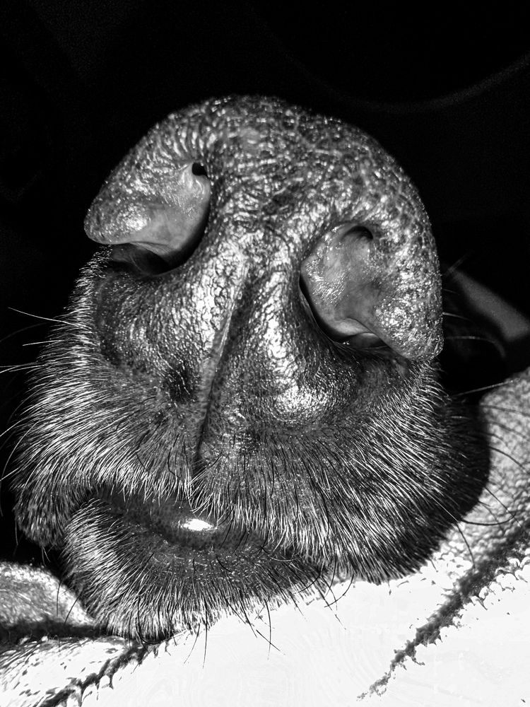 Photograph by Анастасия Волошина