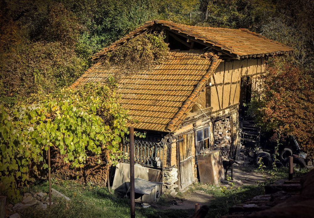 Фотография автора Milena Ivanova