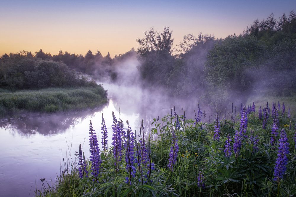 Photograph by Елена Гусева