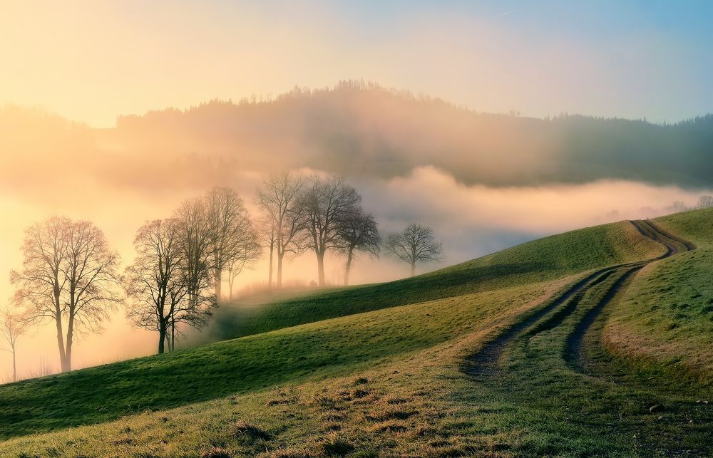 Misty winter morning