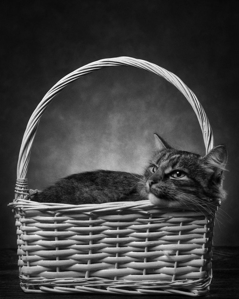 Фотография автора Сизов Кирилл