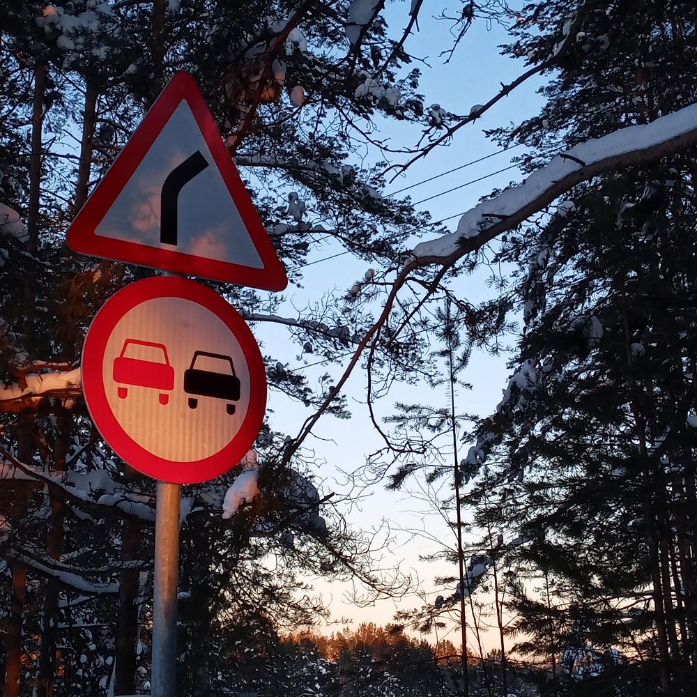 Photograph by Арина Сурсякова