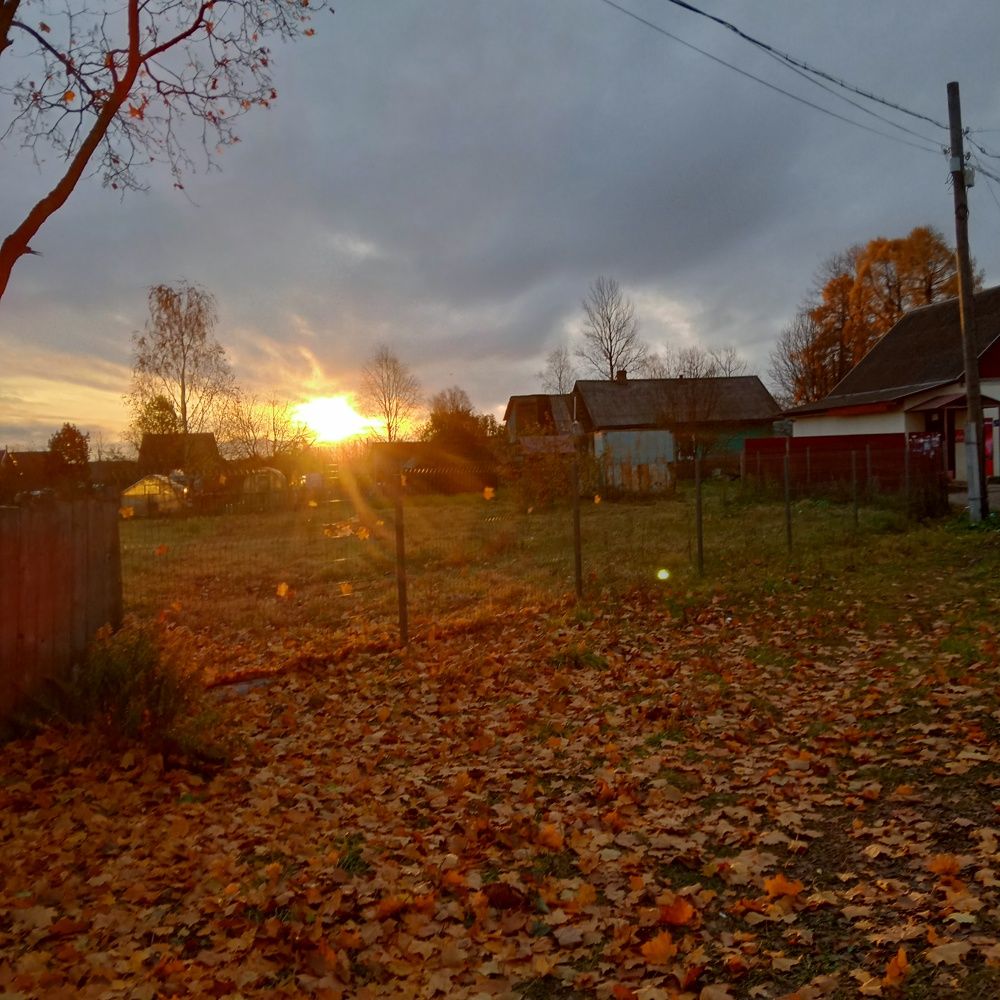 Photograph by Арина Сурсякова