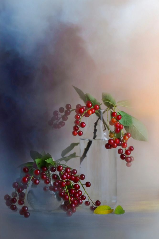 Photograph by Лариса Торопченкова