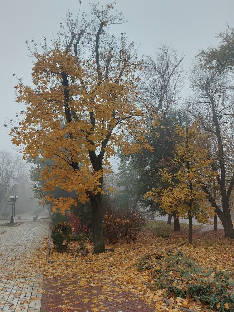 Photograph by Yuliya Durneva