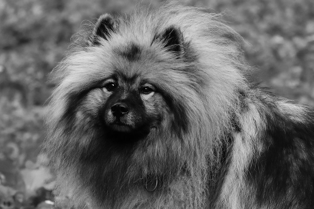 Photograph by Dagmar Vopolková