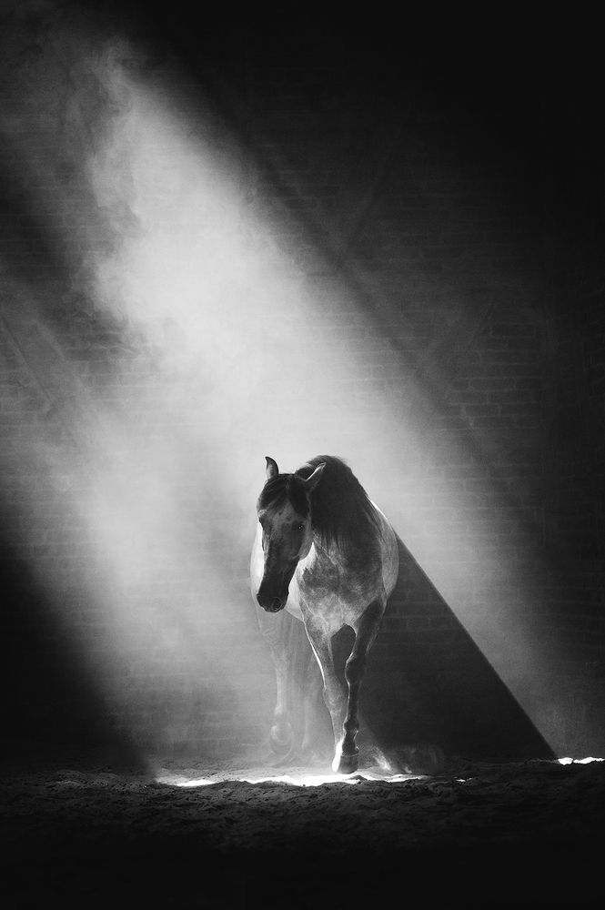 Photograph by Janine Ulbrich